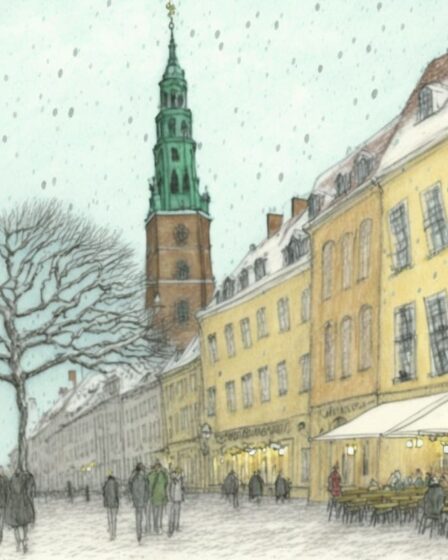 Copenhagen in December
