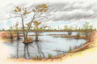 Everglades National Park in October